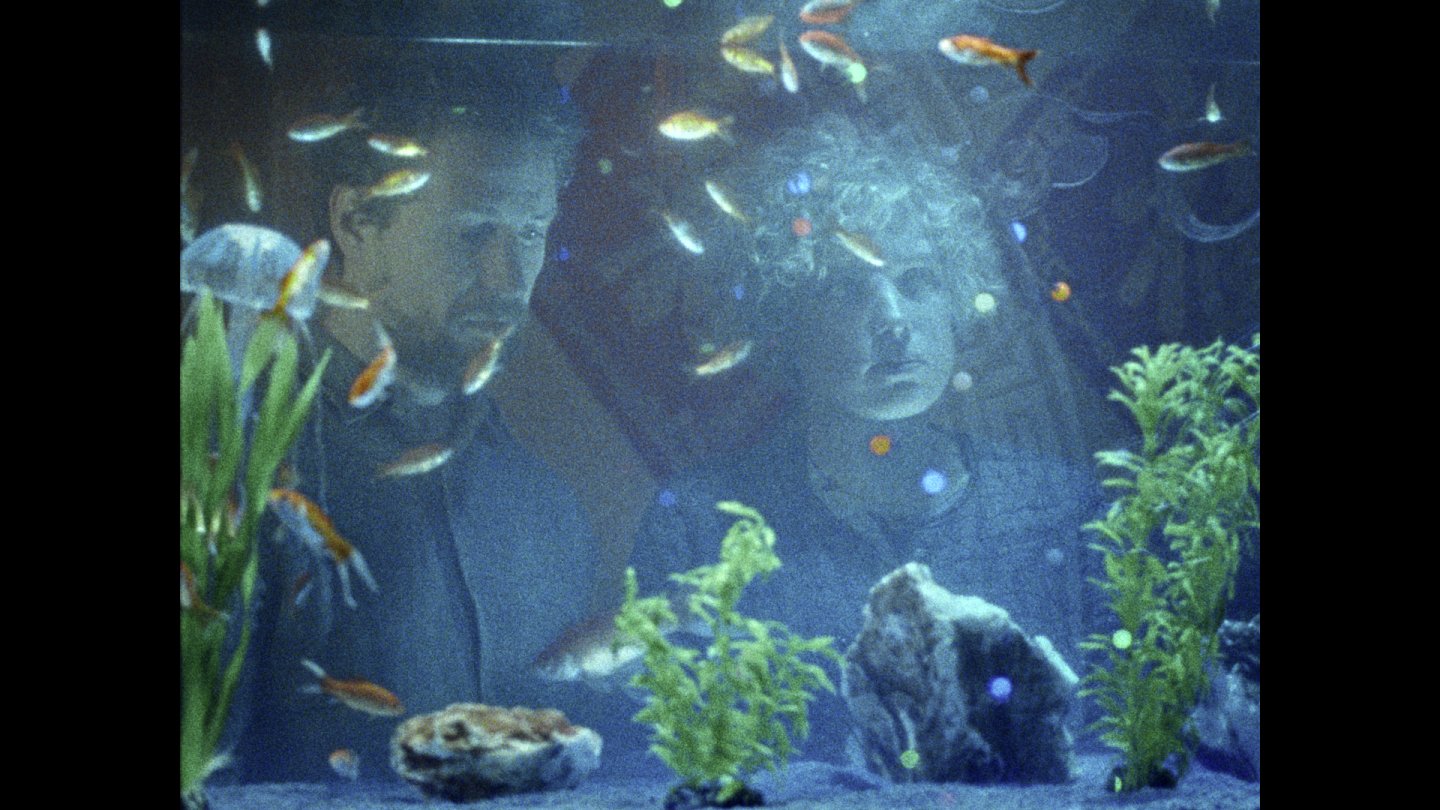 Fische
