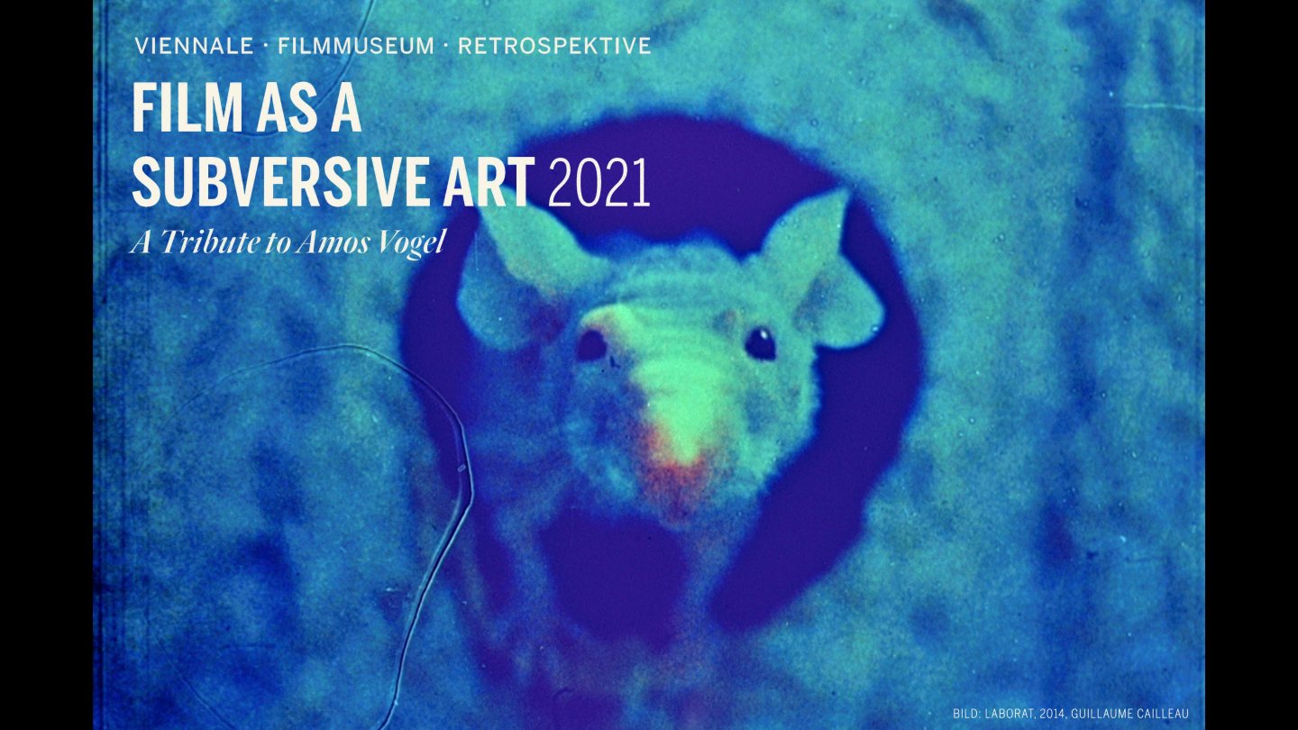 V'21 Retrospektive
