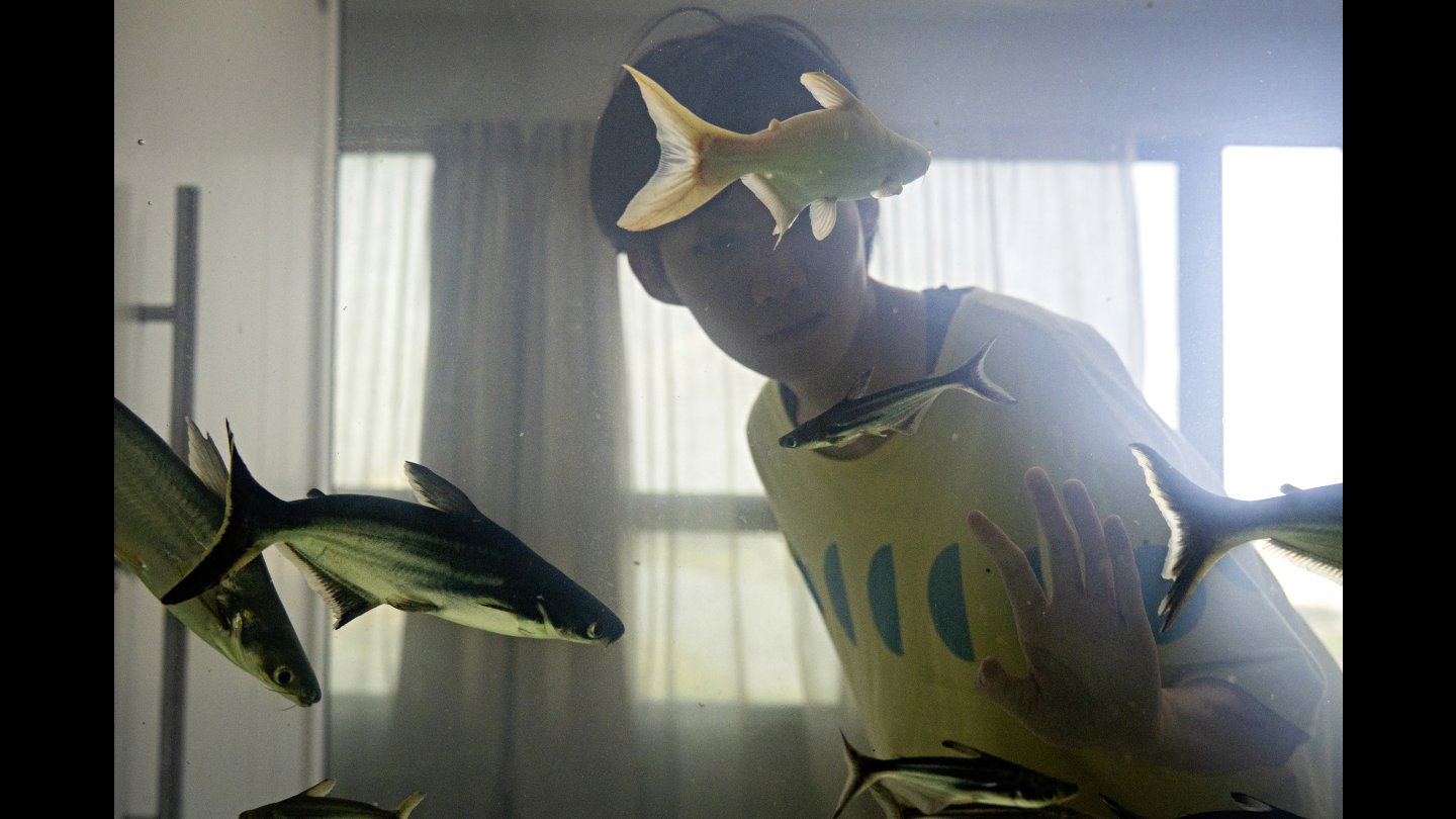 DORMIR DE OLHOS ABERTOS | © Viennale