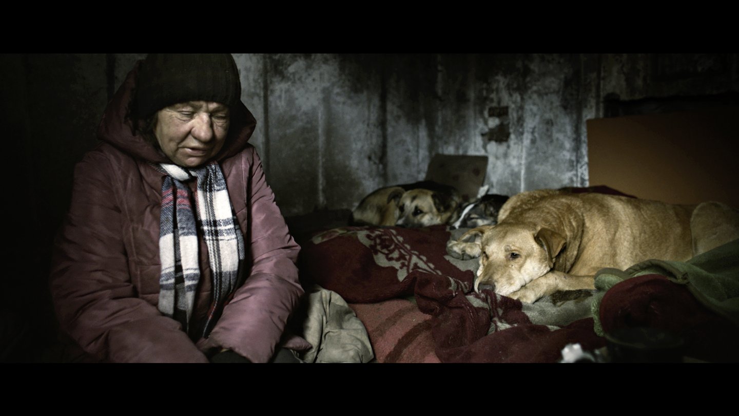 DREAMING DOGS | © Viennale