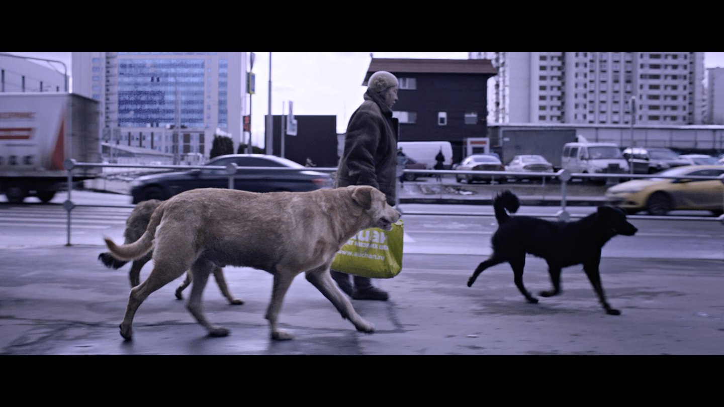 DREAMING DOGS | © Viennale