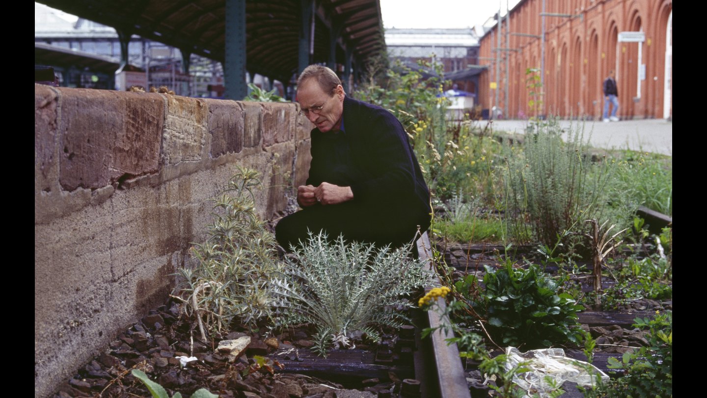 Filmstill aus LOIS WEINBERGER - RUDERAL SOCIETY: Ein Mann hockt in einem Garten.