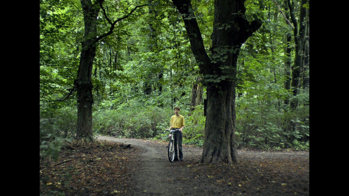 Person mit gelbem Oberteil schiebt Fahrrad auf Waldweg zwischen großen Bäumen