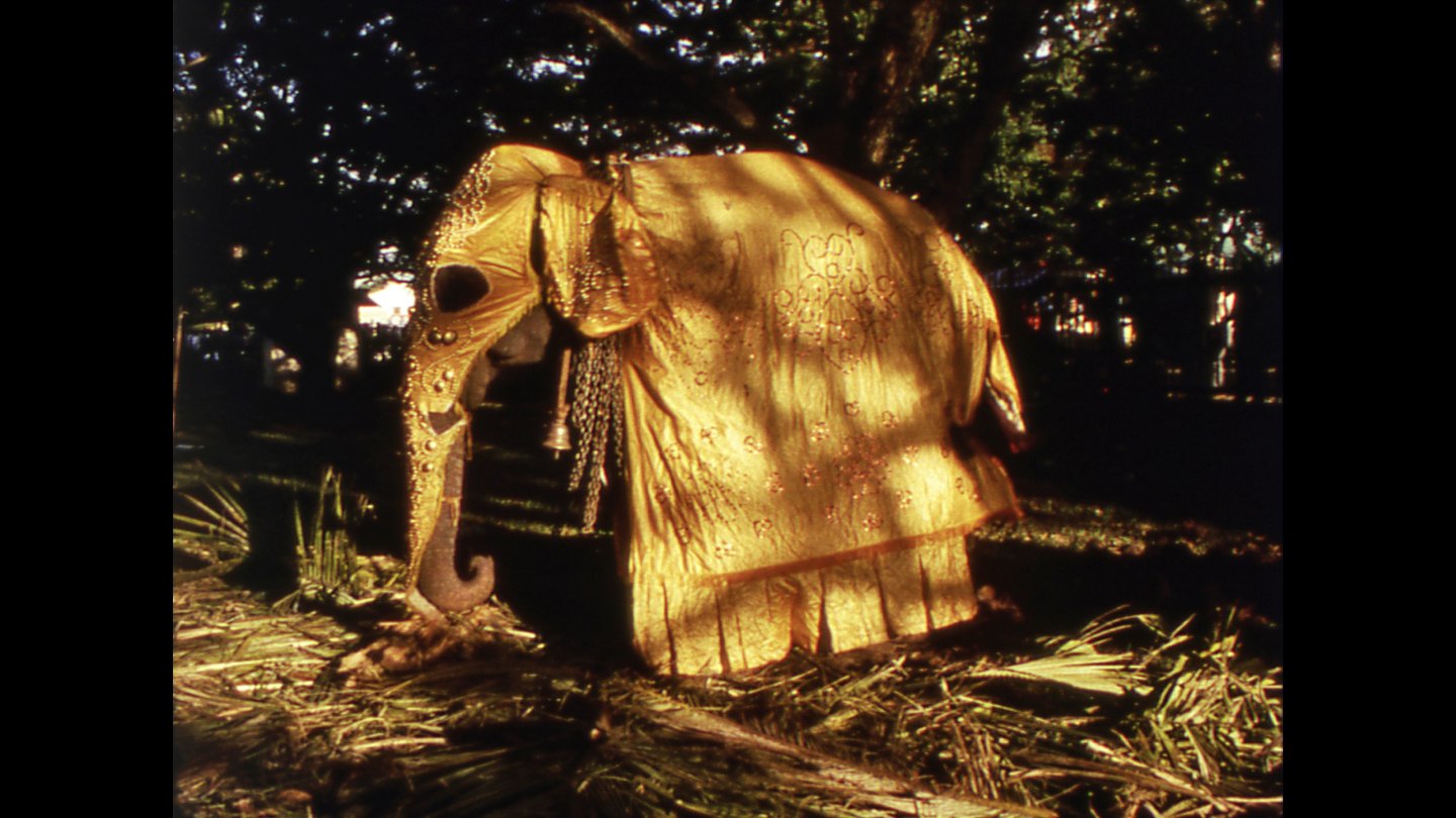 Filmstill A Depression in the Bay of Bengal: Man sieht einen Elefant
