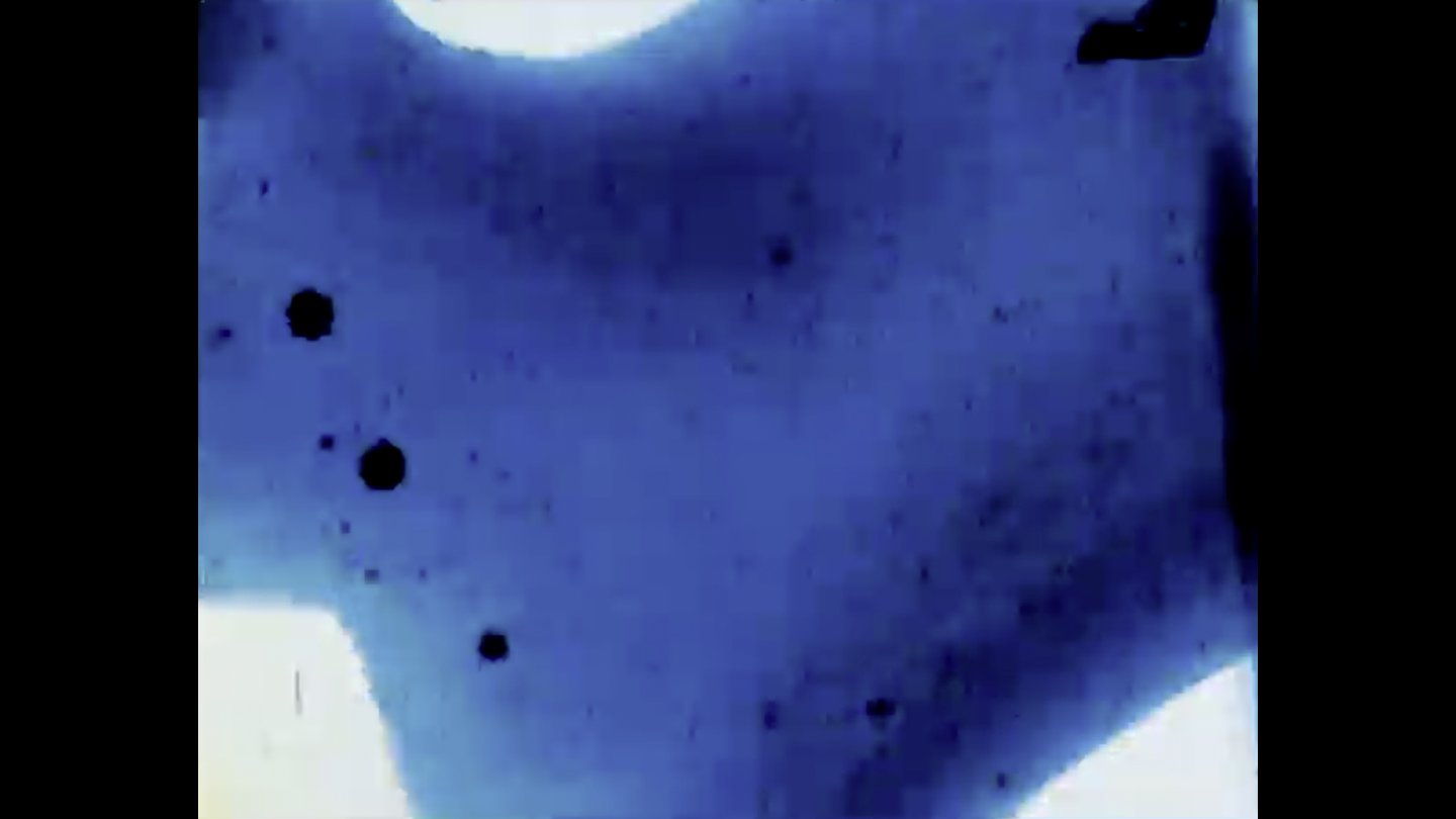 Filmstill of Commingled Containers