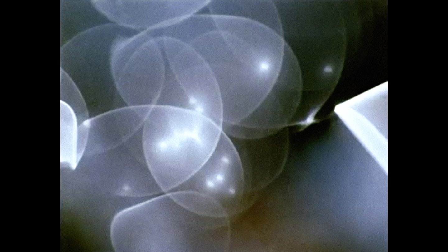 Filmstill of Commingled Containers
