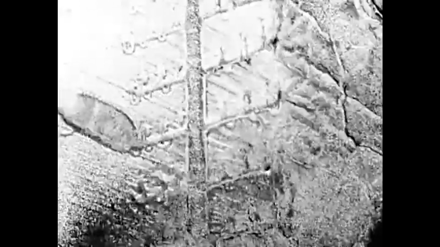 Filmstill of Twilight Psalm III: Night of the Meek