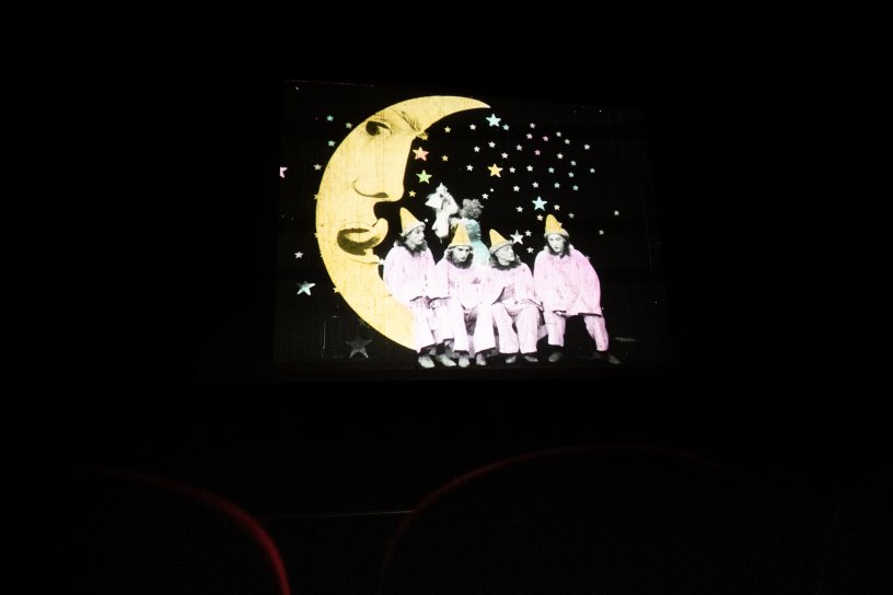 Viennale / Alexi Pelekanos