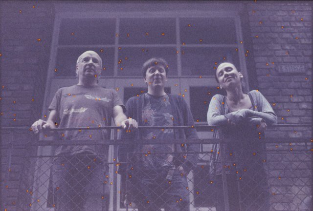 Bild von BLUEBLUT