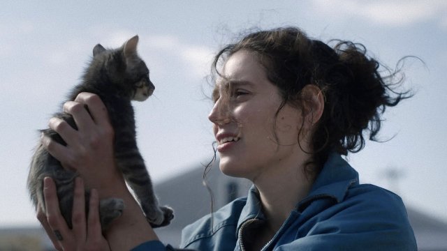 eine Frau hällt eine graue Babykatze hoch und schaut ihr direkt ins Gesicht.