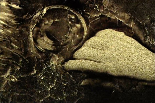 Filmstill PHIL SOLOMON Nahaufnahme eines goldfarbenen Reliefs mit einem spiralförmigen Muster und einer handähnlichen Form