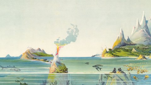 Das Sujet der Viennale 2021