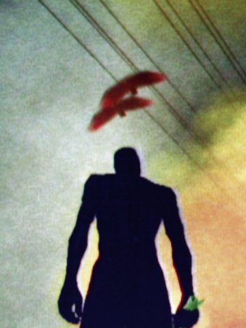 Filmstill PHIL SOLOMON. Schwarze Silhouette einer stehenden Person vor einem orange-blauen Himmel mit einem Flugzeug, einer roten Taube und Stromleitungen