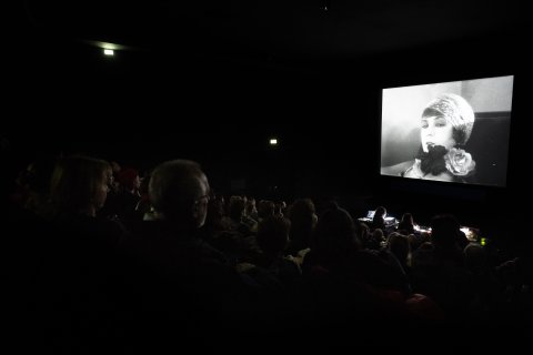 Live Musik Retrospektive, Filmmuseum
