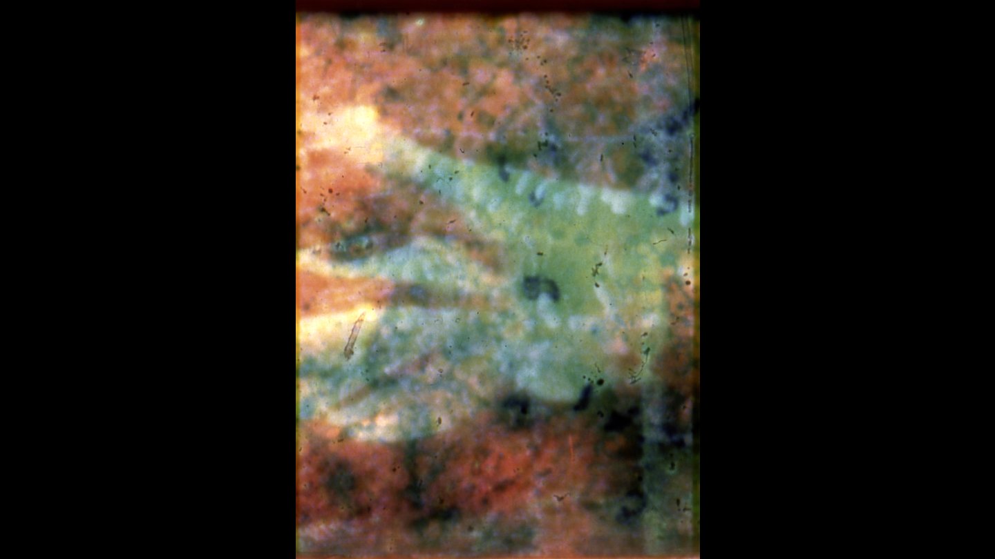 Image of movie La pêche miraculeuse