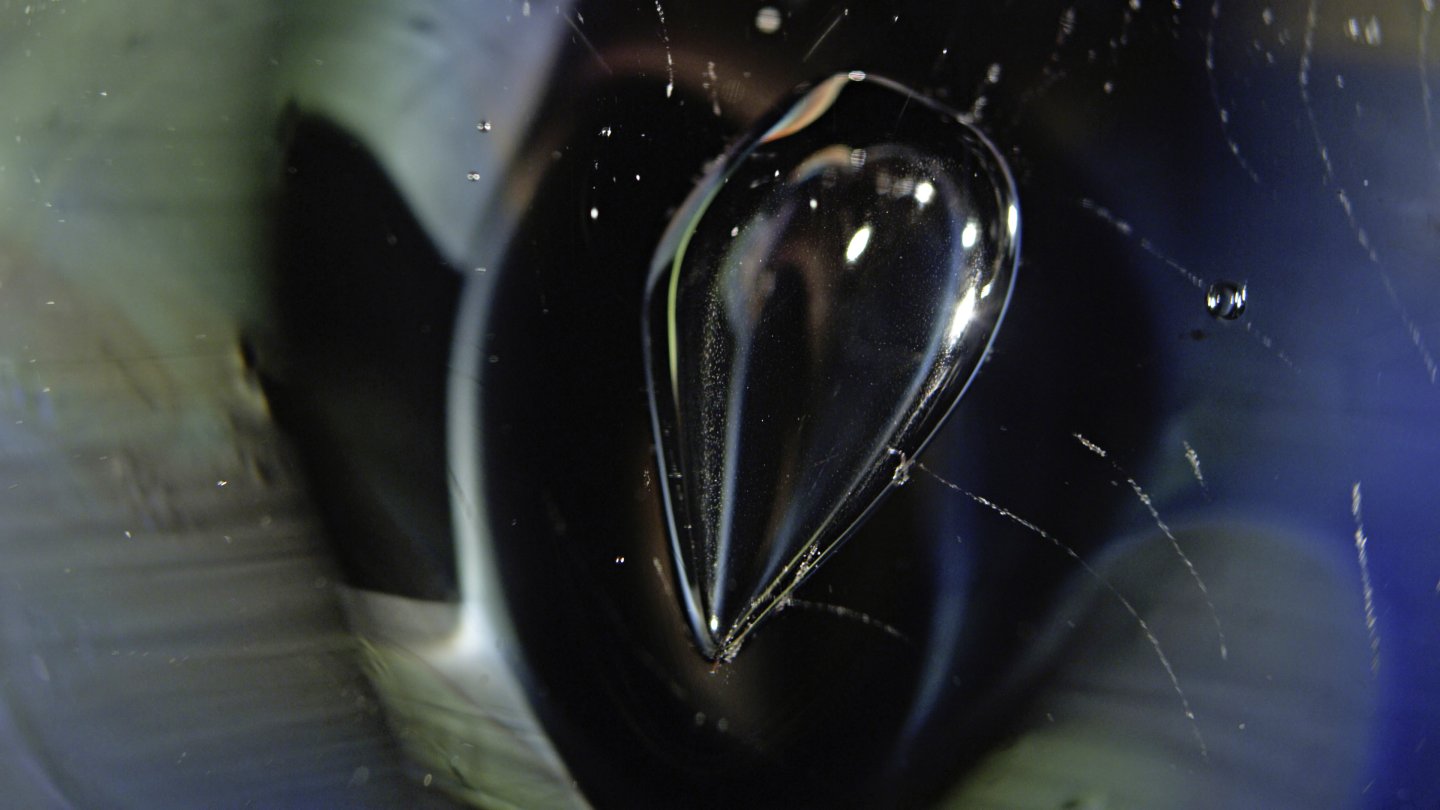 Image of movie Pomp