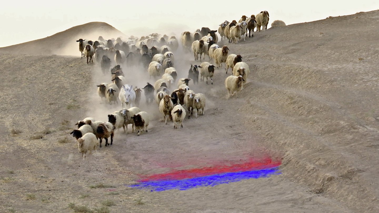 Image of movie Sandlines, the Story of History