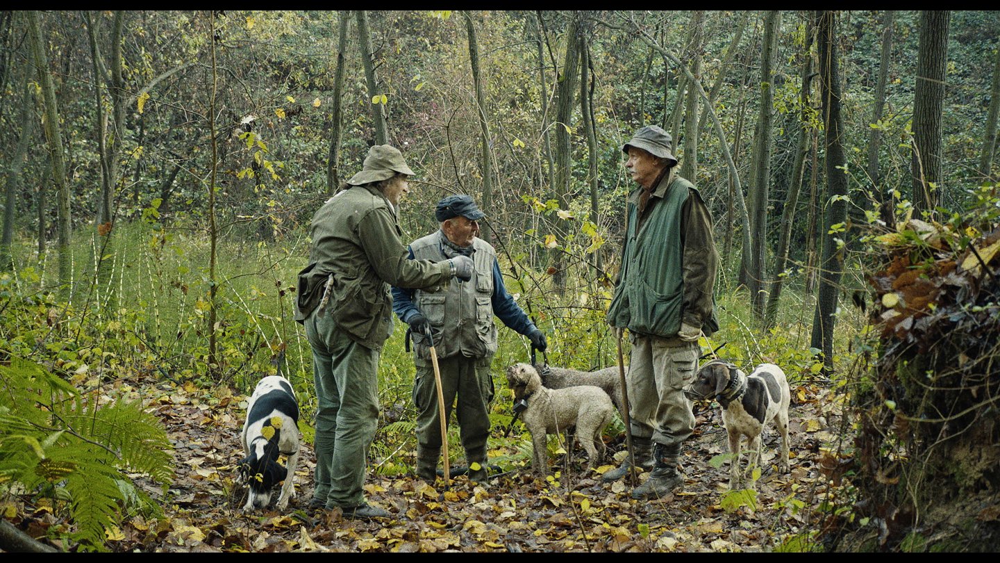 Image of movie The Truffle Hunters