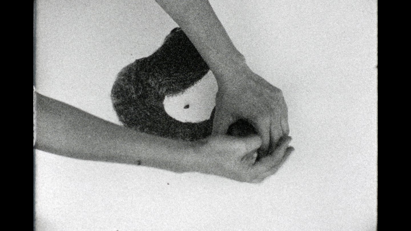 Image of movie arrojalatierra