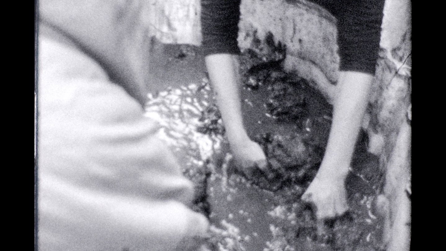 Image of movie arrojalatierra