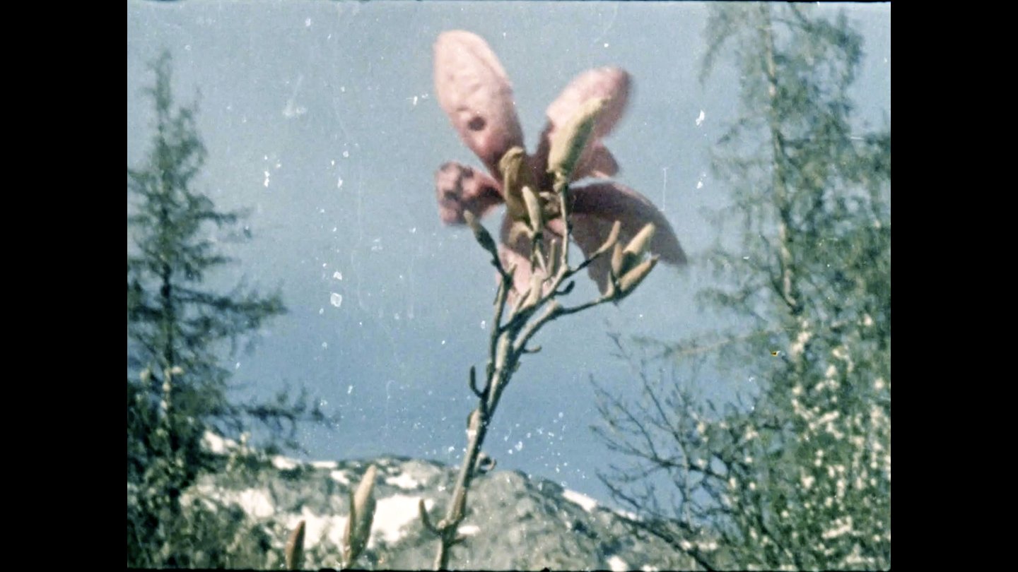 Image of movie As time goes by