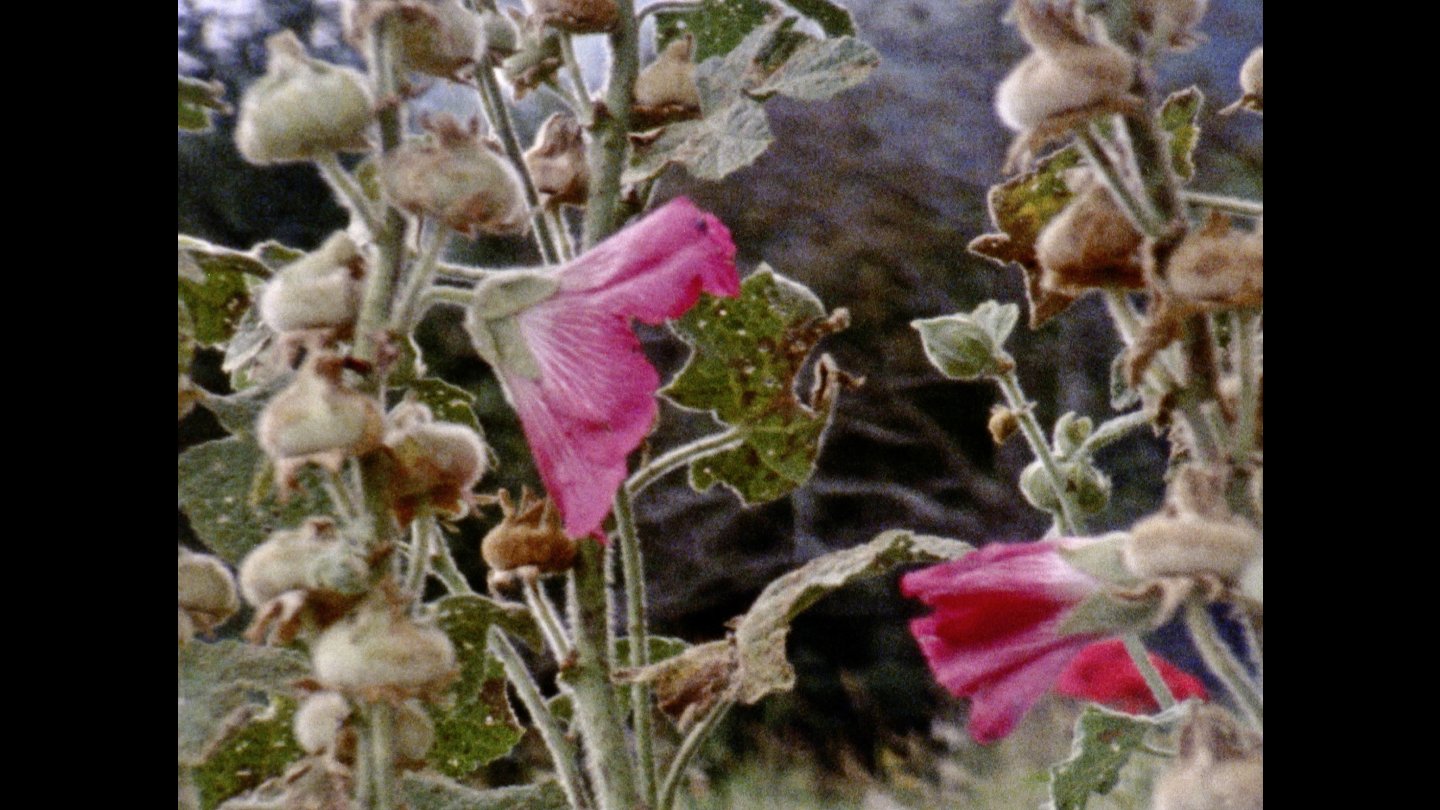 Image of movie As time goes by