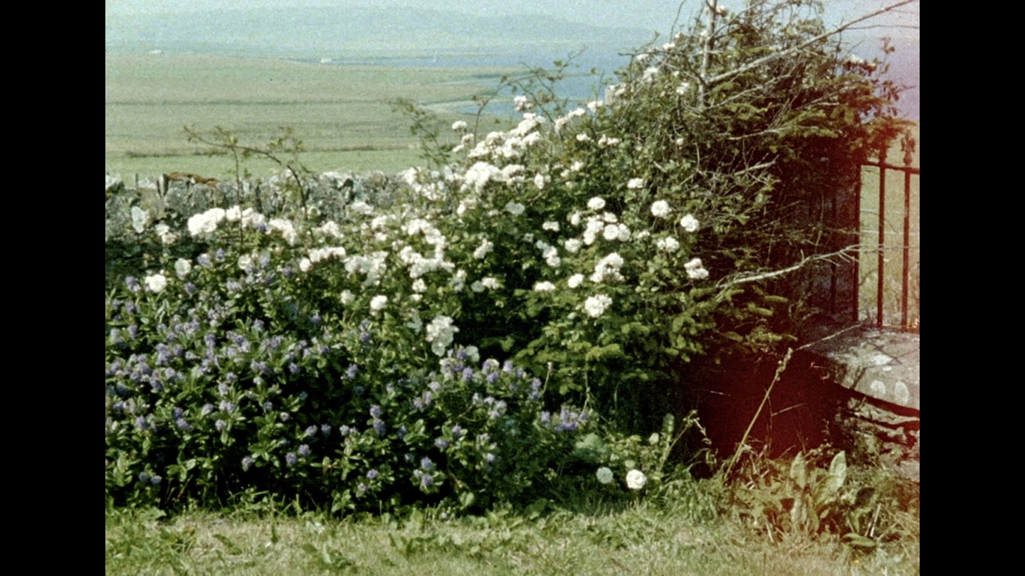 Image of movie Glimpses from a Visit to Orkney in Summer 1995