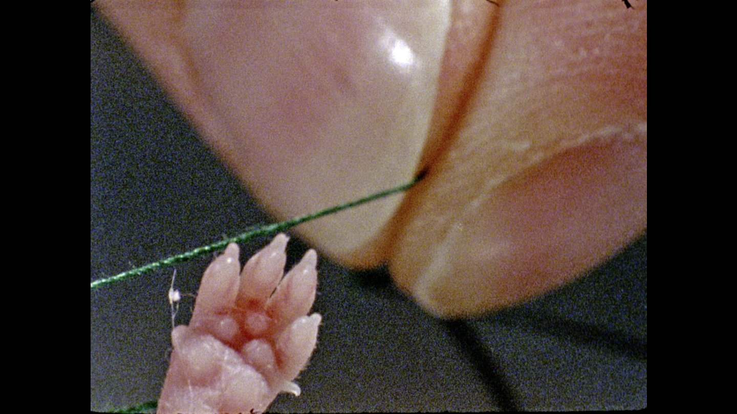 Image of movie Laborat