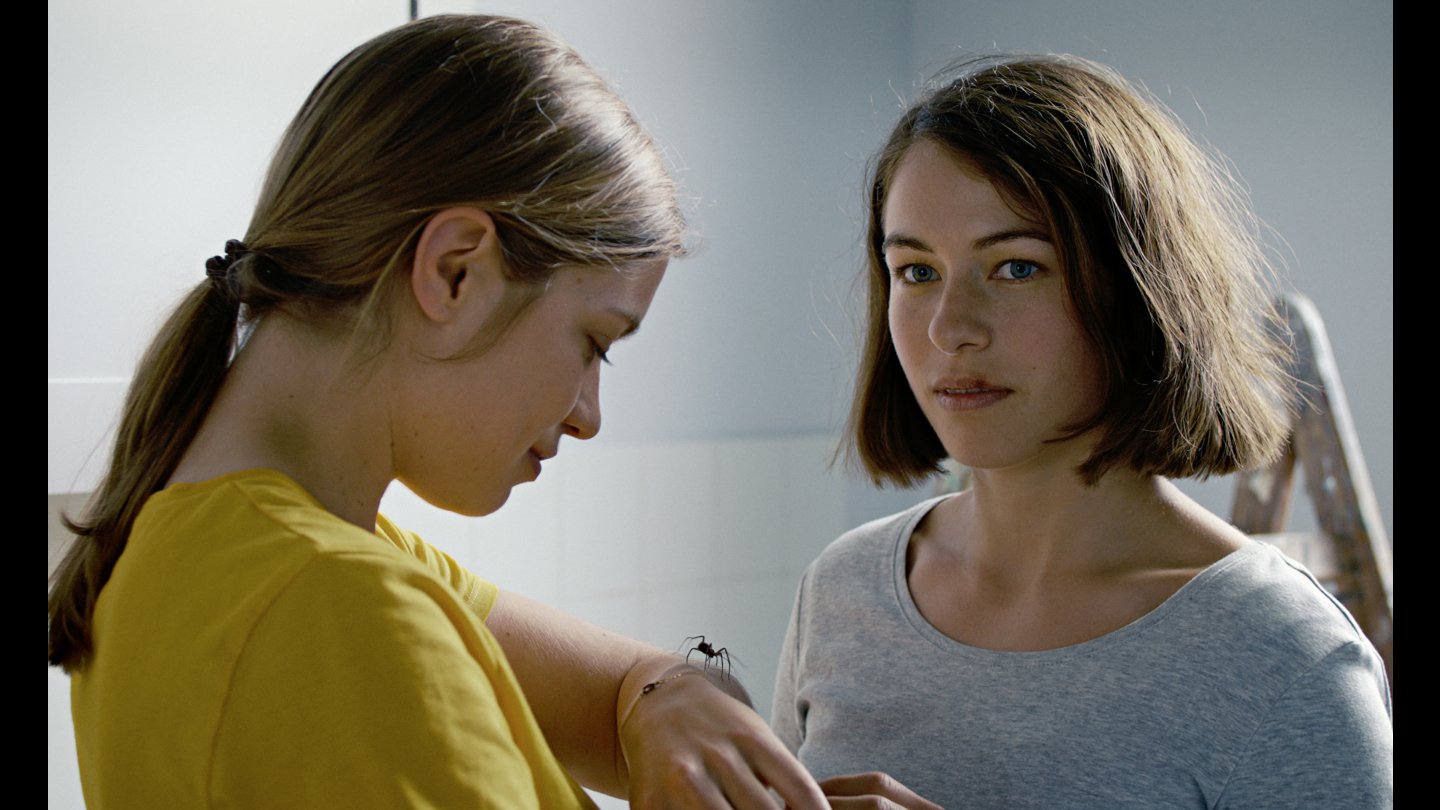 Image of movie Das Mädchen und die Spinne