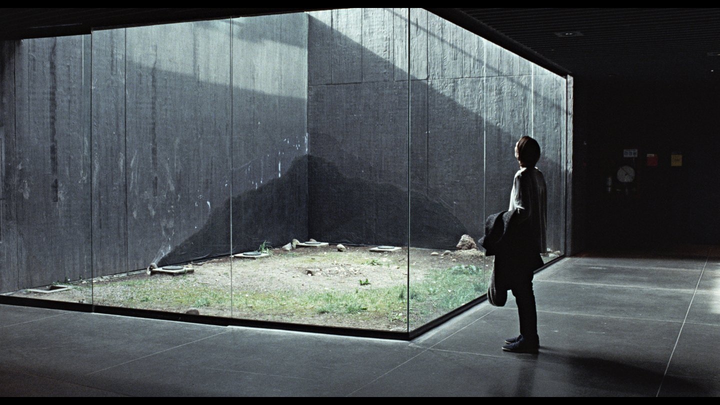 Image of movie Memoria