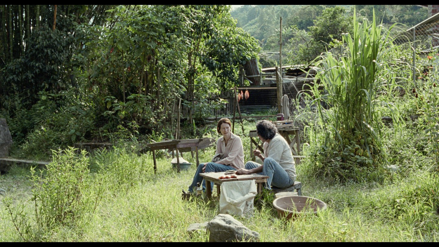 Image of movie Memoria