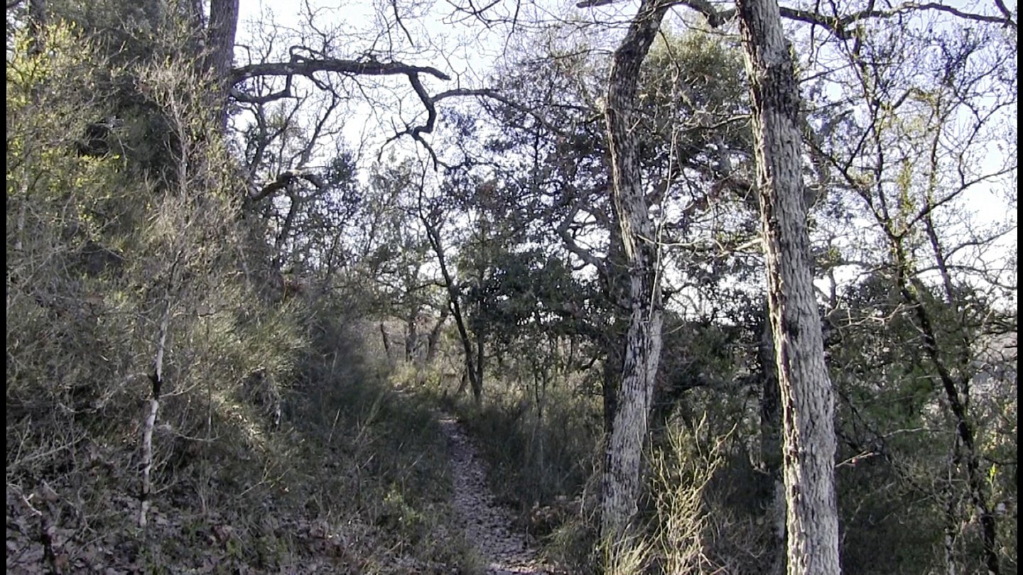 Image of movie Promenade 1