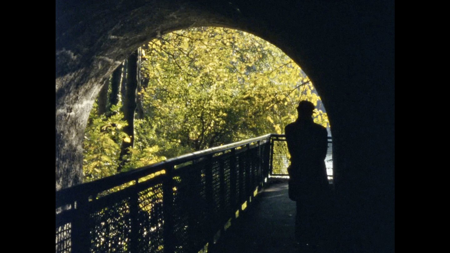 Image of movie Renate