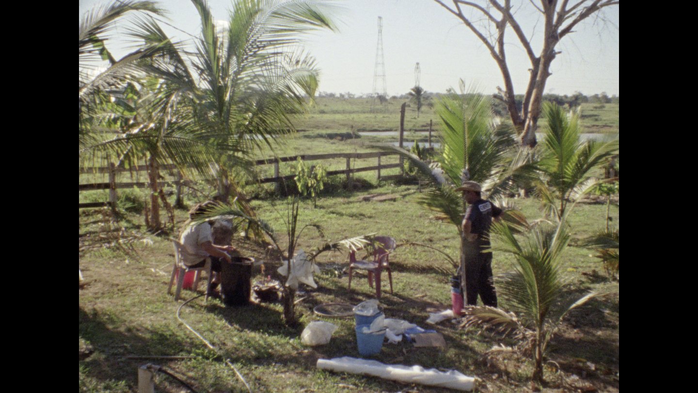 Image of movie Sol de campinas