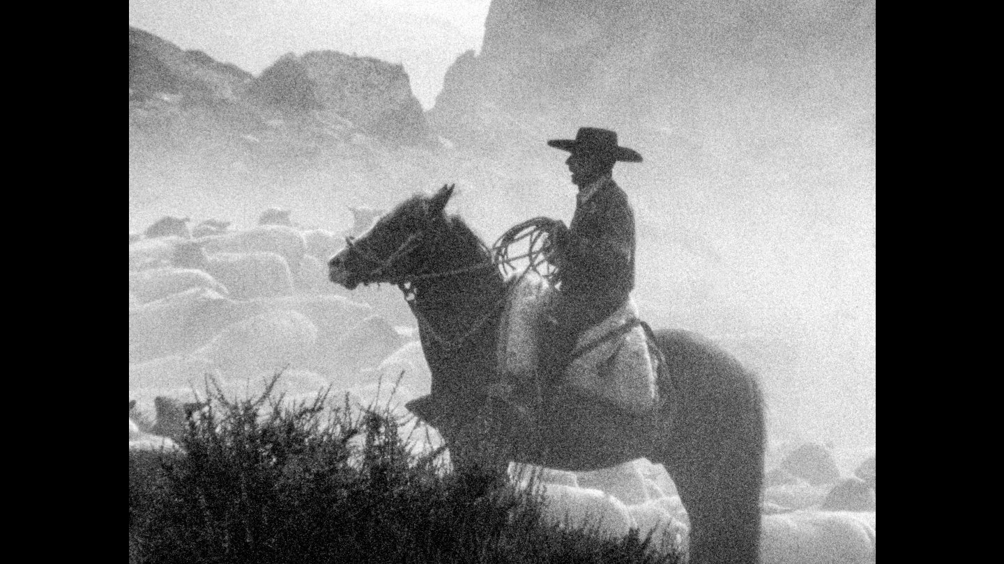 Image of movie Al amparo del cielo