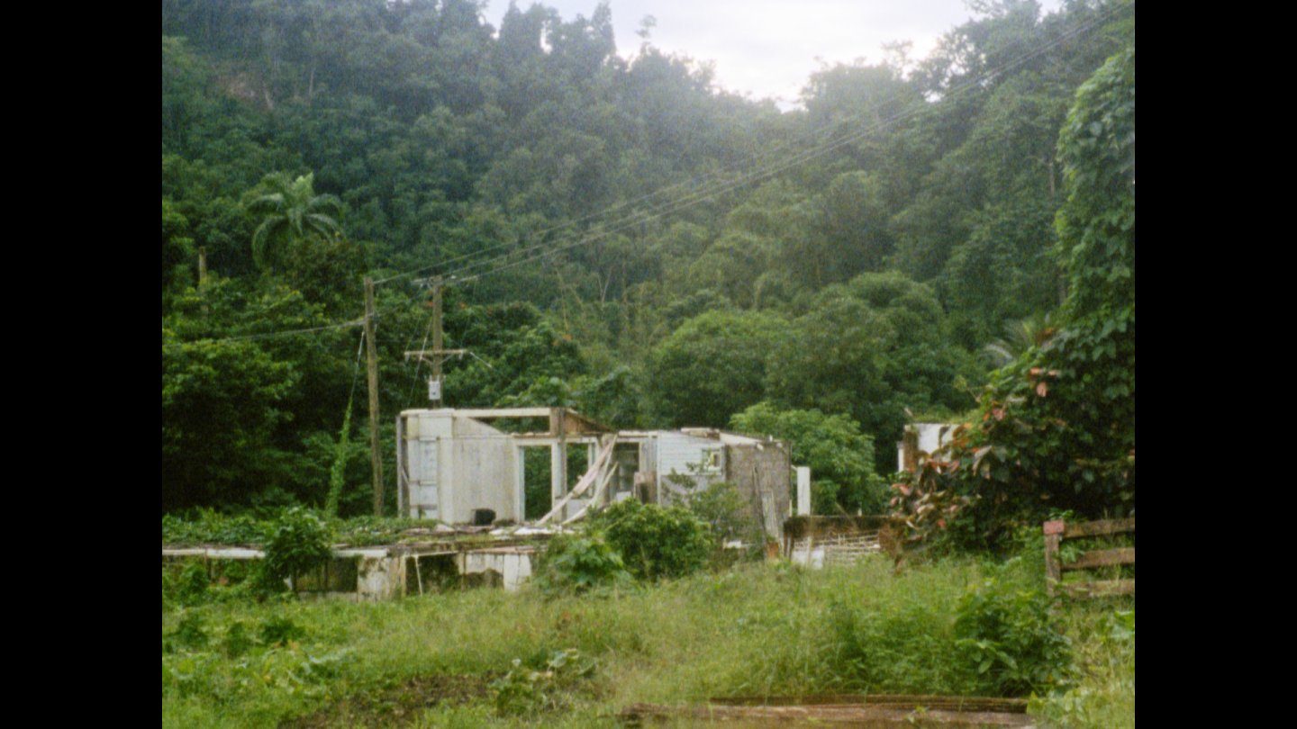 Image of movie Cette maison