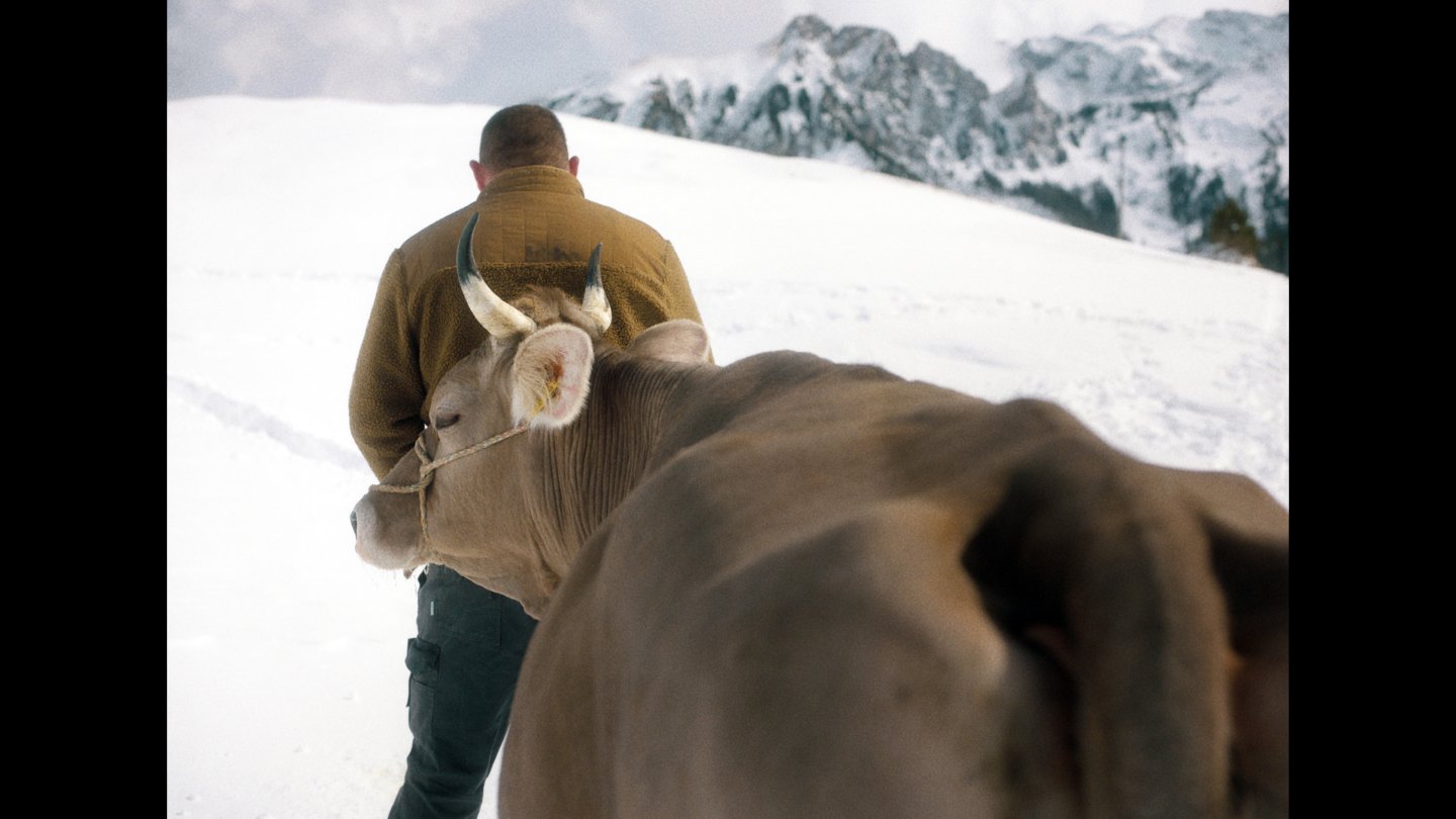 Image of movie Drii winter