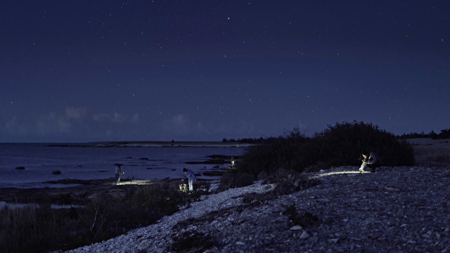 Image of movie Eventide