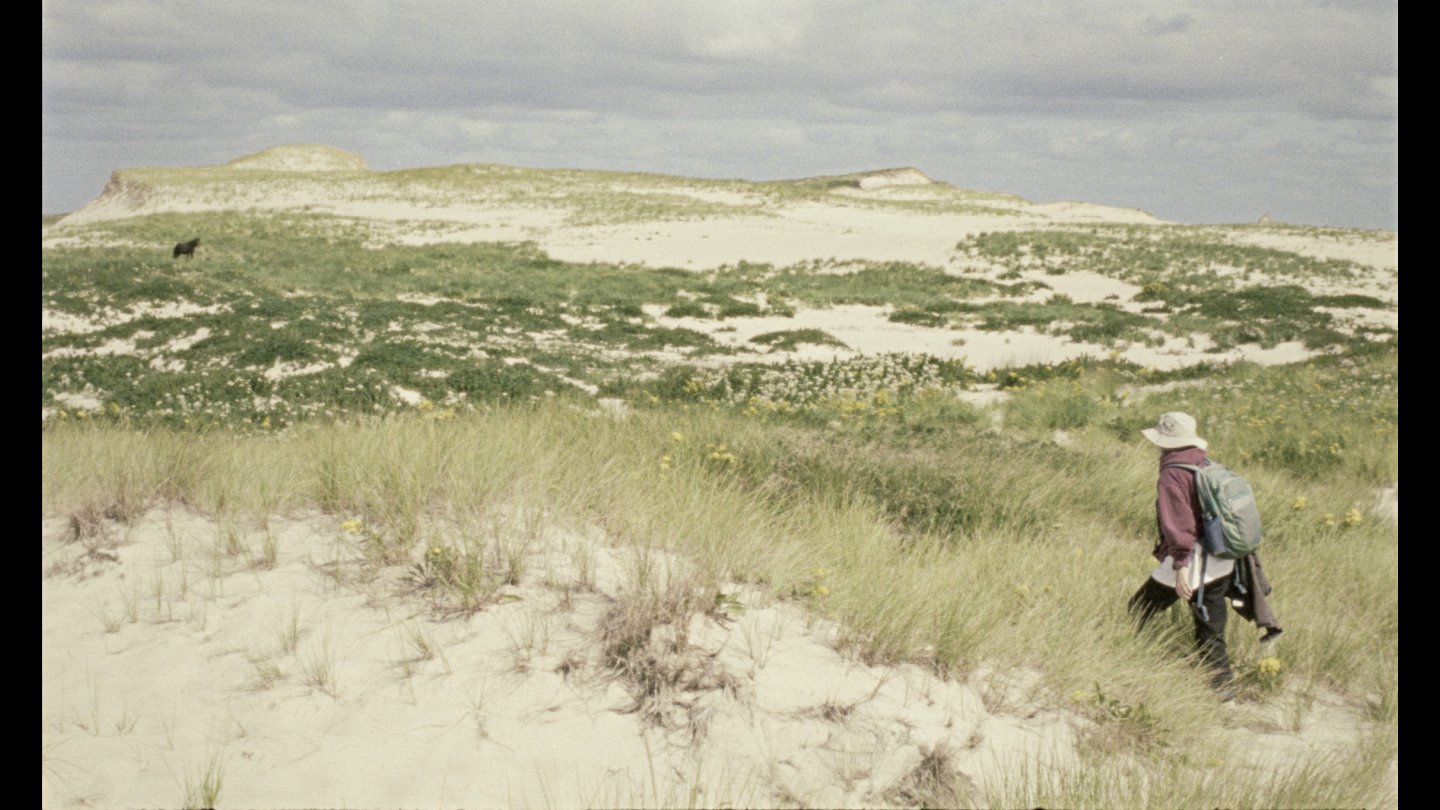 Image of movie Geographies Of Solitude