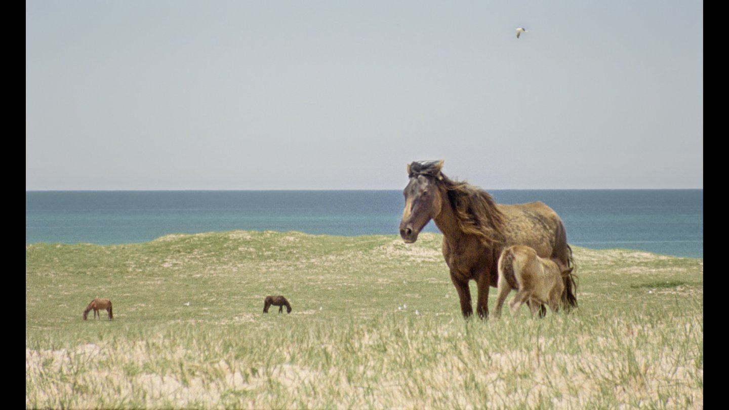 Image of movie Geographies Of Solitude