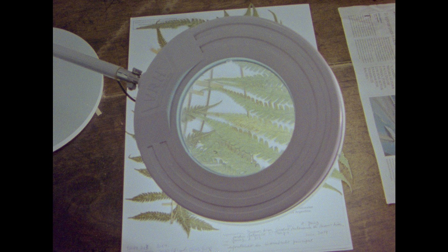 Image of movie Herbaria