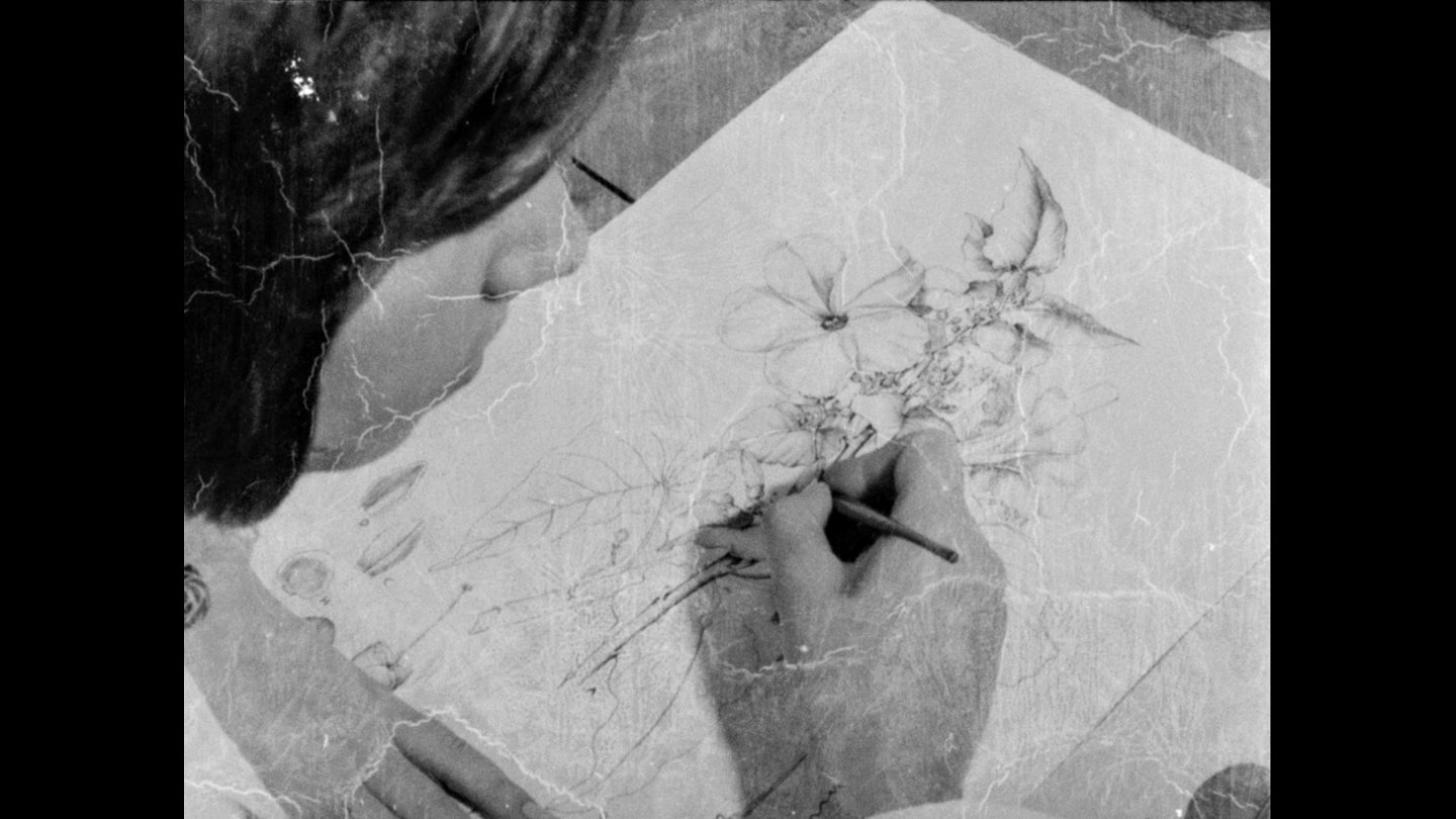 Image of movie Herbaria