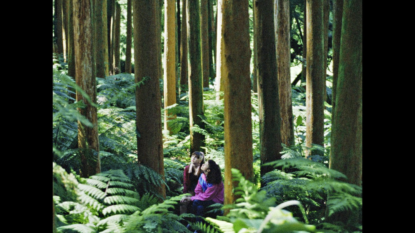 Image of movie Lobo e cão