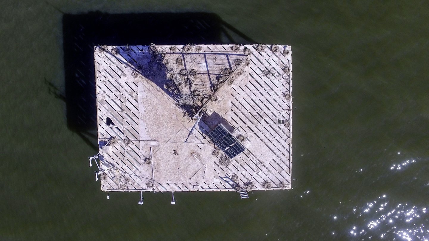 Image of movie Marine Target