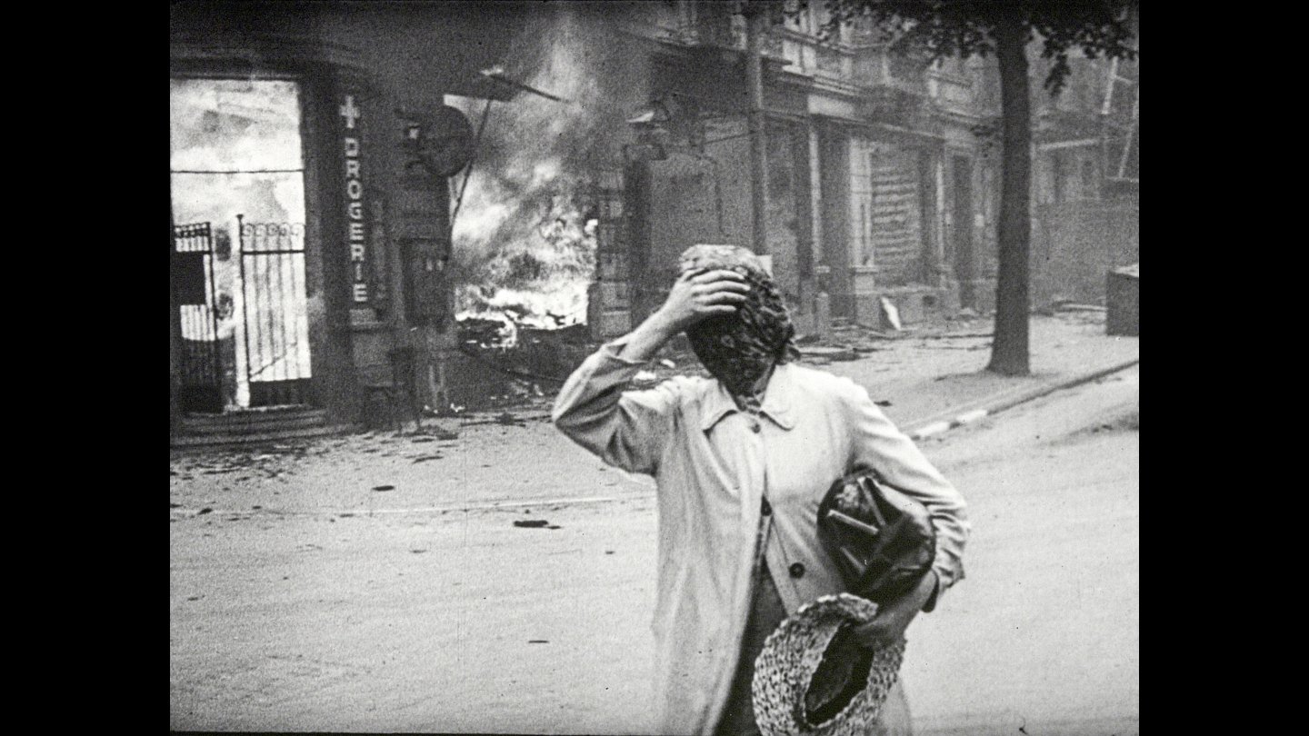 Image of movie The Natural History of Destruction