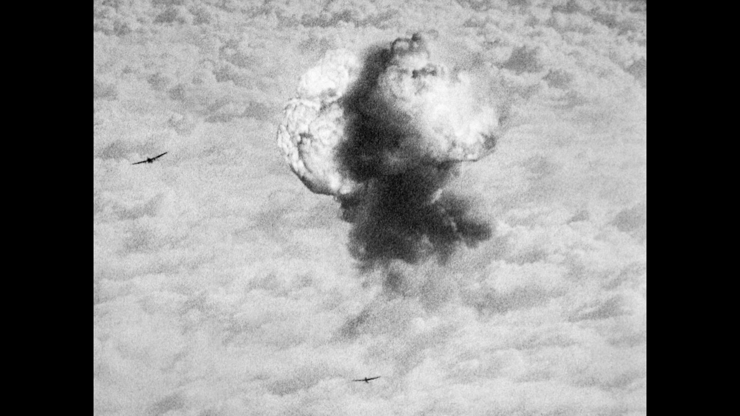 Image of movie The Natural History of Destruction