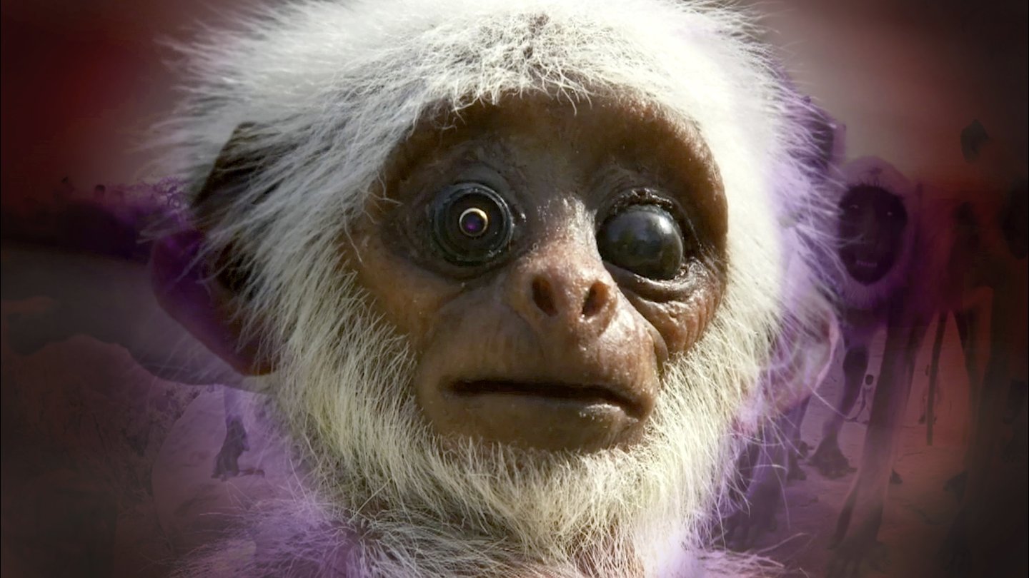 Image of movie Polycephaly In D