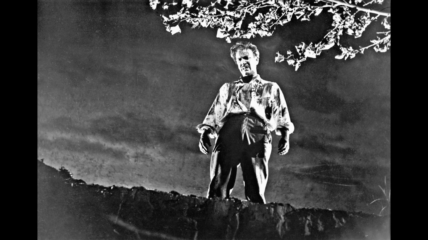Image of movie Los tallos amargos