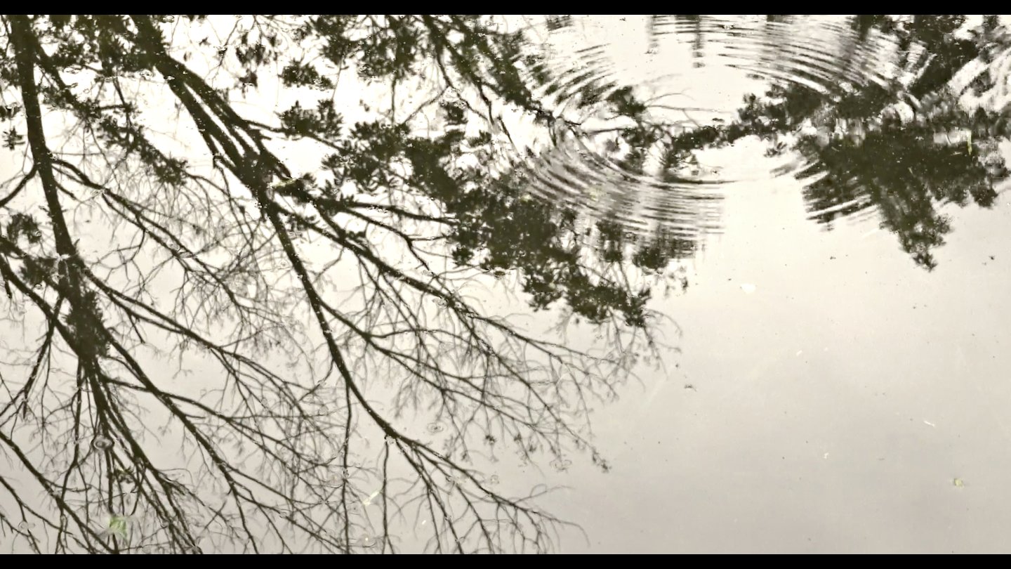Image of movie Viennale-Trailer 2022: Walden