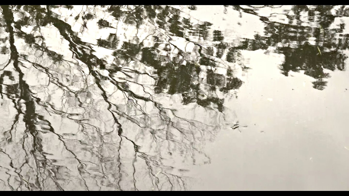 Image of movie Viennale-Trailer 2022: Walden